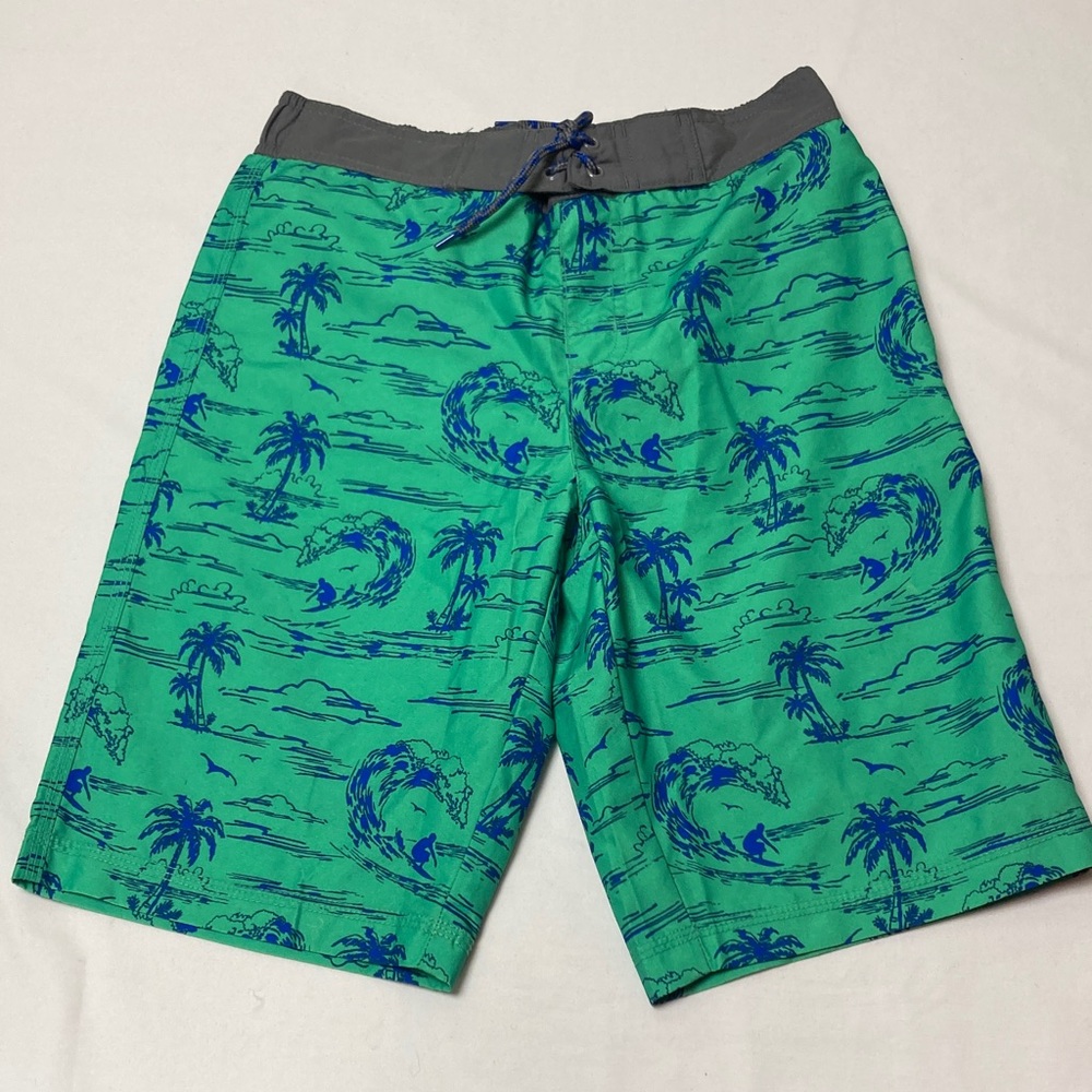 Gymboree Green and Blue Kids Swim Trunks